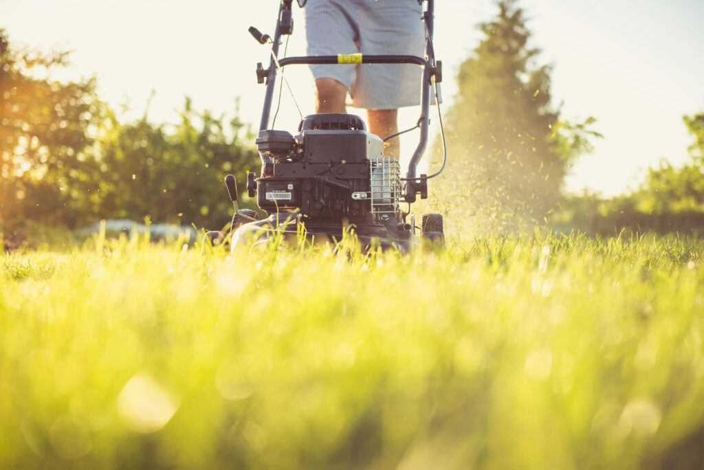 Lawn Service